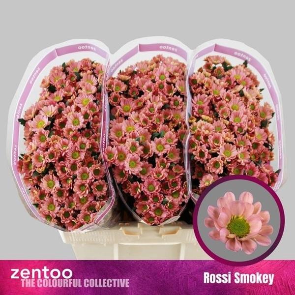 Chr San Rossi Smokey