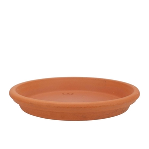 Terracotta Waterdish D28xh4cm