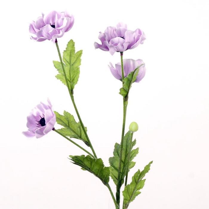<h4>AF Anemone x4 L71cm l.lilac</h4>