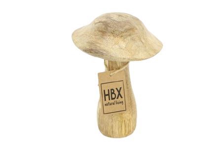 <h4>Mushroom Mango H15d10</h4>