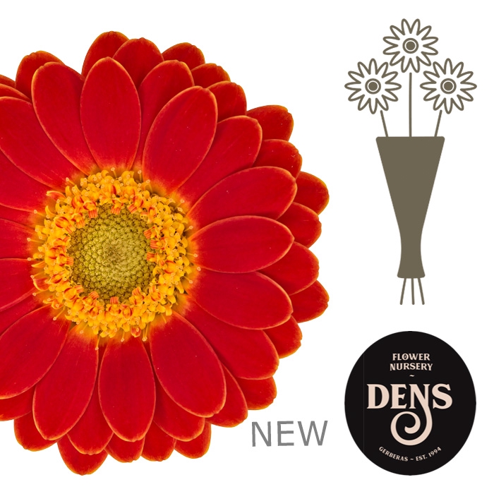 <h4>Nano Arezzo Water</h4>