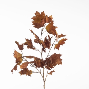 AF Maple Spray L112cm Brown