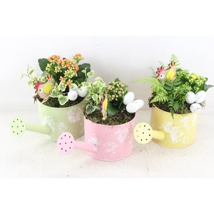 arr2 JS - Gieter flower mix x5