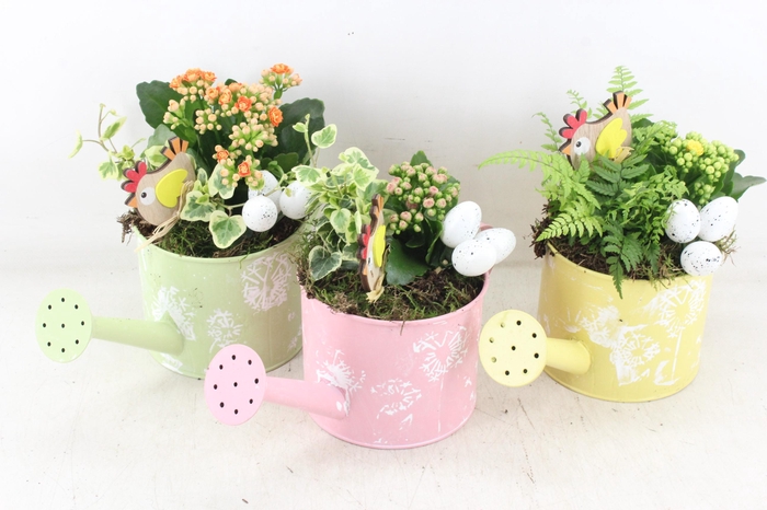 <h4>arr2 JS - Gieter flower mix x5</h4>