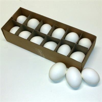 <h4>EI KIP WIT X12 PER COLLI</h4>