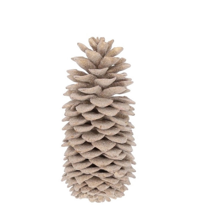 <h4>Dennenappels Suger pine wax 35cm</h4>