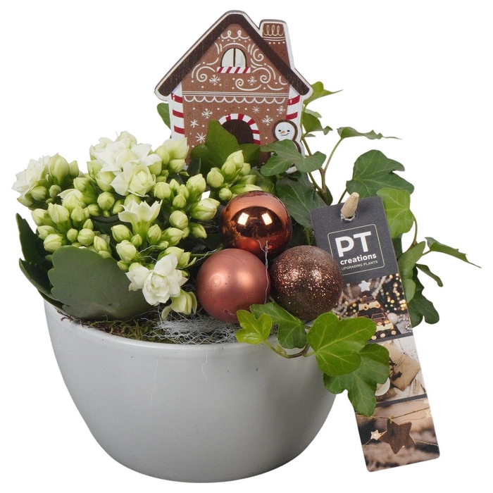 <h4>Deco Christmas Arrangement 14Ø 25cm</h4>