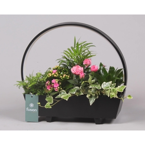 Lamp LED boog hout met Arrangement