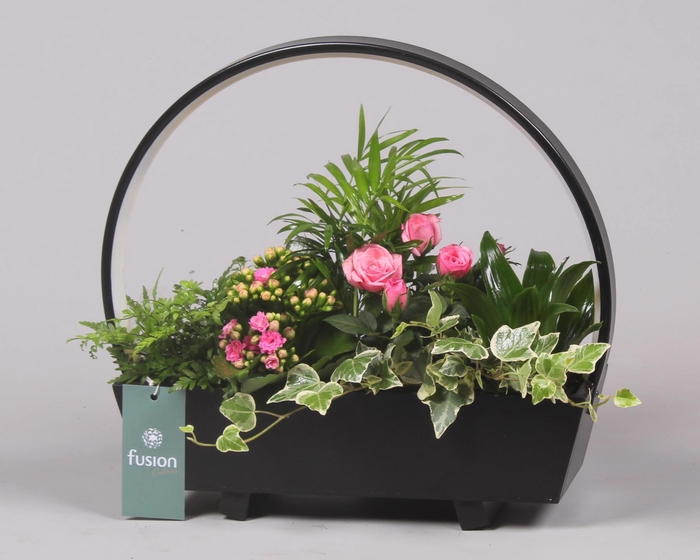 <h4>Lamp LED boog hout met Arrangement</h4>