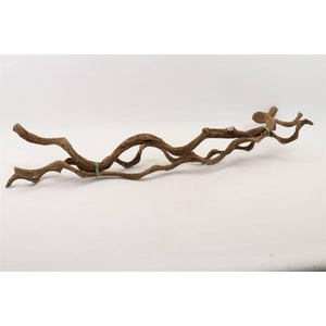 Bundle Curly Vine 3pcs L100 D2/5