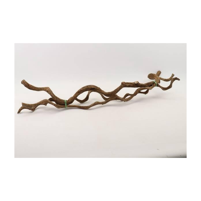 <h4>Bundle Curly Vine 3pcs L100 D2/5</h4>