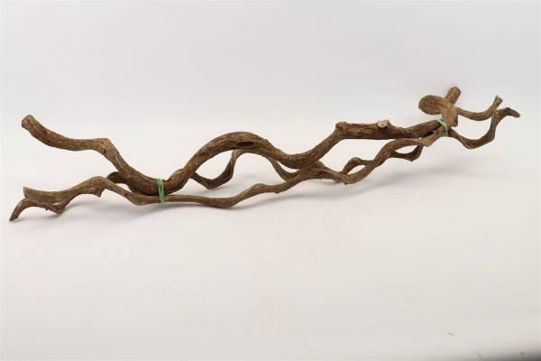 Bundle Curly Vine 3pcs L100 D2/5