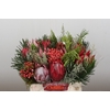 BQ Protea Cynaroides SFB