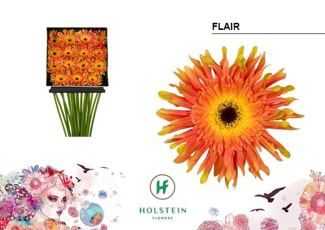 <h4>Gerbera Pasta Flair Diamond per kaart</h4>