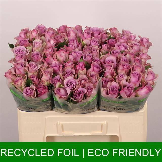 <h4>R GR NIGHTINGALE!</h4>