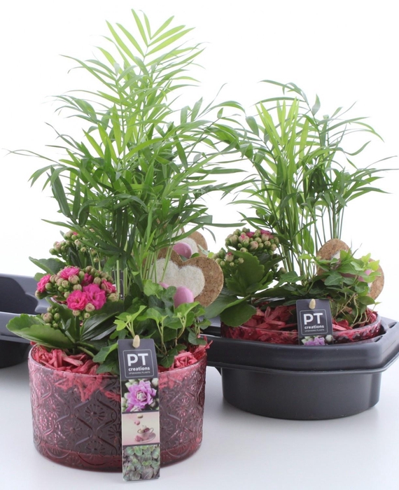 <h4>ARR KAMERPL</h4>