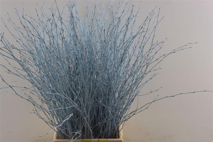Berk 70cm Lichtblauw Pbs