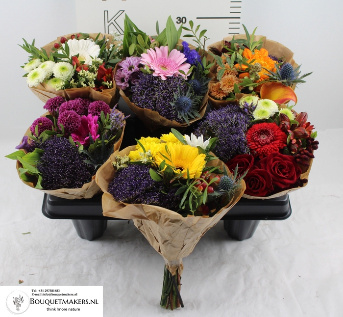 <h4>GEM BOEKET OV</h4>