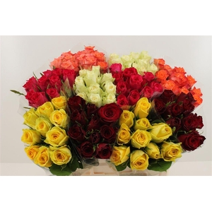 Boeket Roos Keer 10 (mix)