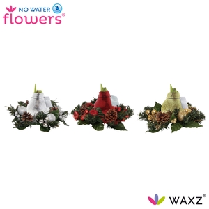 arr4 Amaryllis VH - Waxz Christmas wreath