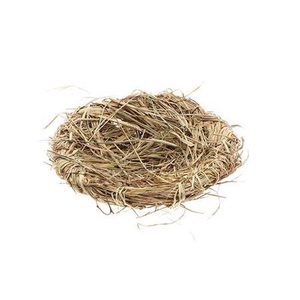 Bird Nest L25w25h6