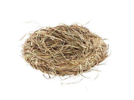 <h4>Bird Nest L25w25h6</h4>
