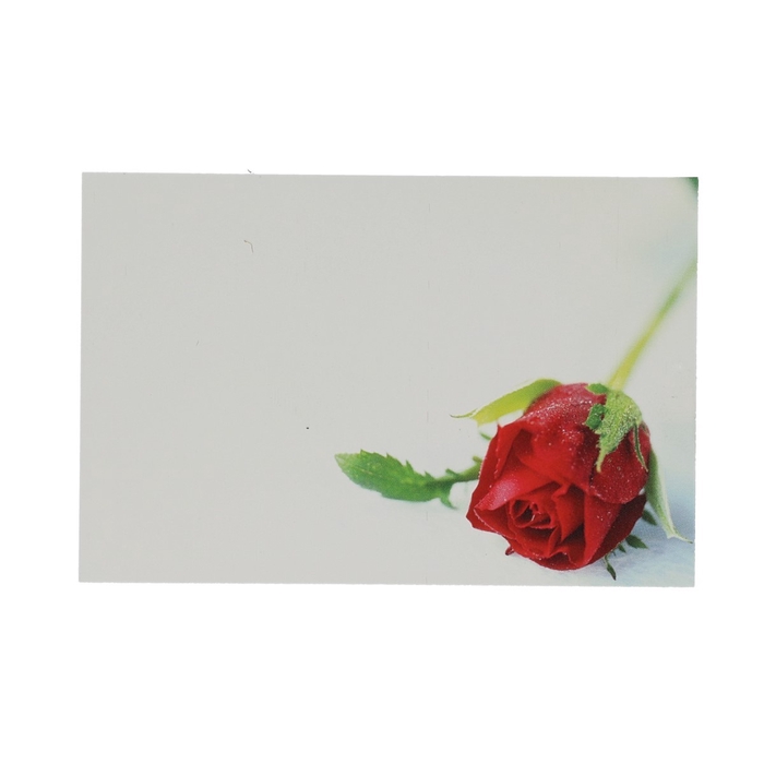 <h4>Labels Cards 9*6cm x50 Red Rosebud</h4>
