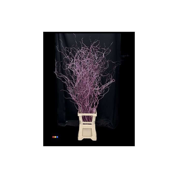 <h4>Salix 130cm Metallic Cerise</h4>