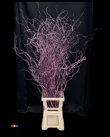 Salix 130cm Metallic Cerise