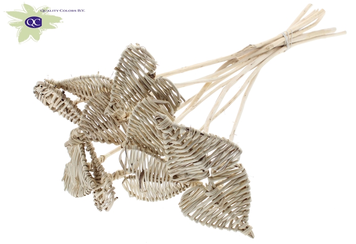 Lata Heart 8cm on stem Hat type Natural