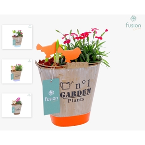 Zink Emmer ovaal met Arrangement