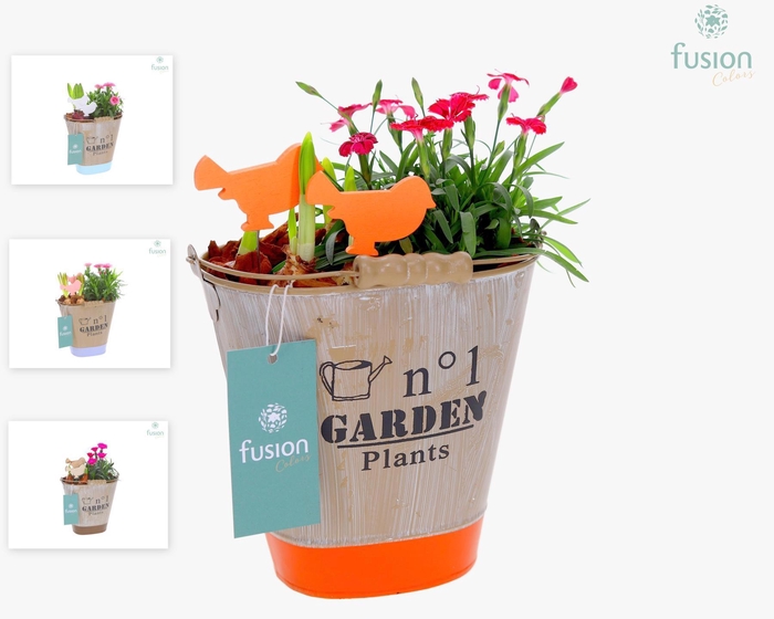 <h4>Zink Emmer ovaal met Arrangement</h4>