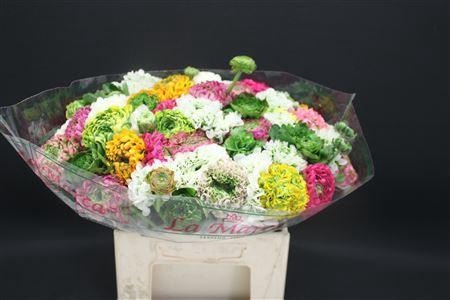 <h4>Cl Pon Pon Mix Extra</h4>