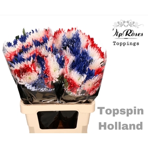 CHR G TOPSPIN FLAG HOLLAND