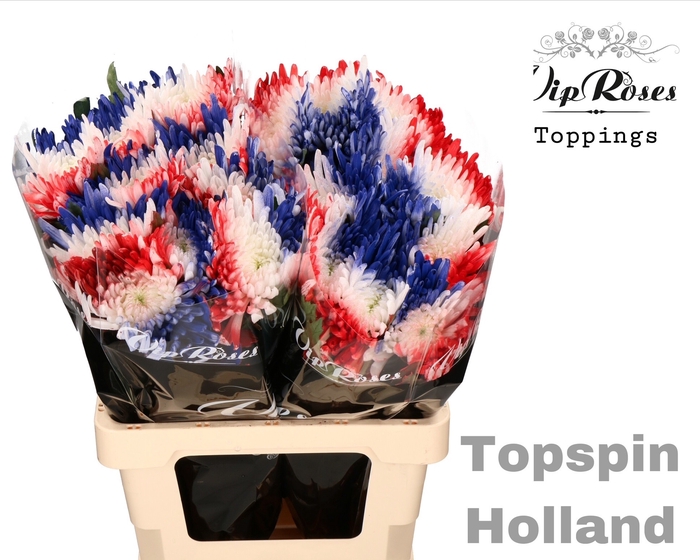 CHR G TOPSPIN FLAG HOLLAND