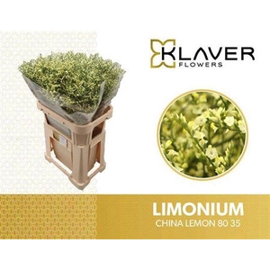 Lim Sin China Lemon