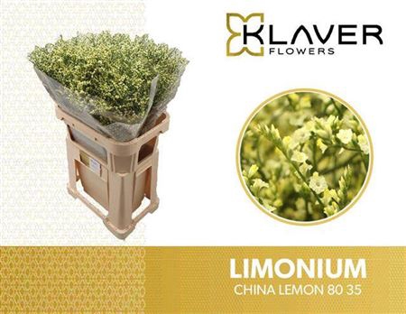 <h4>Lim Sin China Lemon</h4>