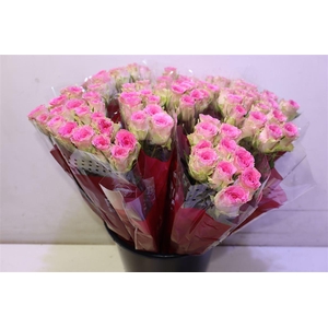 R Gr Times Square X10