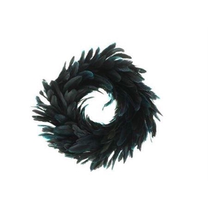 Wr Feather Bantam H8d40