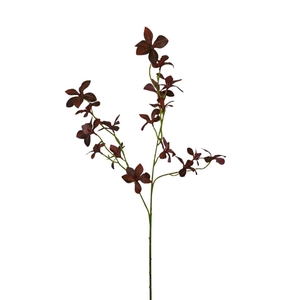 AF Enkianthus spr x3 L78cm red