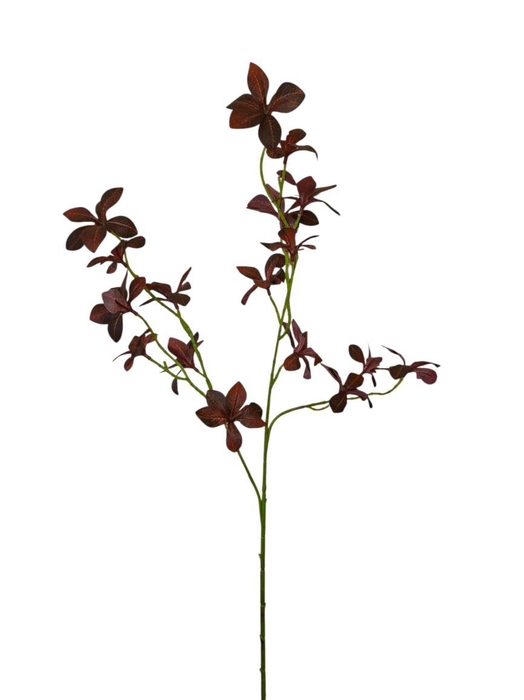 <h4>AF Enkianthus spr x3 L78cm red</h4>