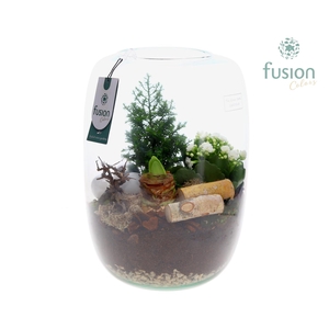 Green Bottle Isabella XLarge Kerst met arrangement