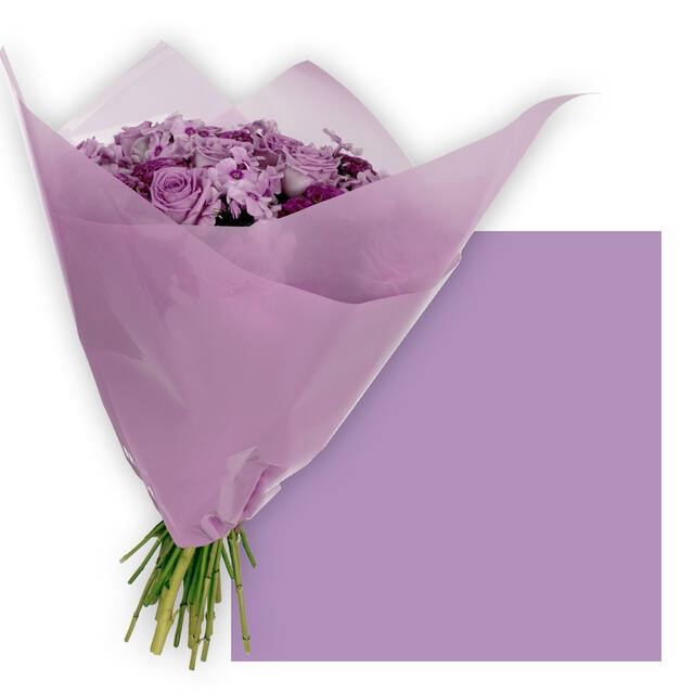 <h4>Vellen 80x80cm OPP50 Frost paars</h4>