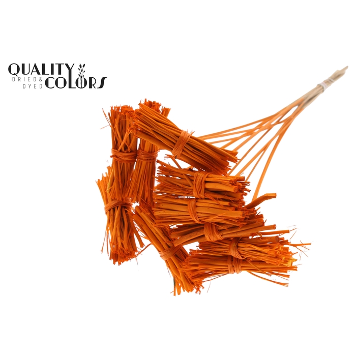 <h4>White Lady posy on stem Orange</h4>