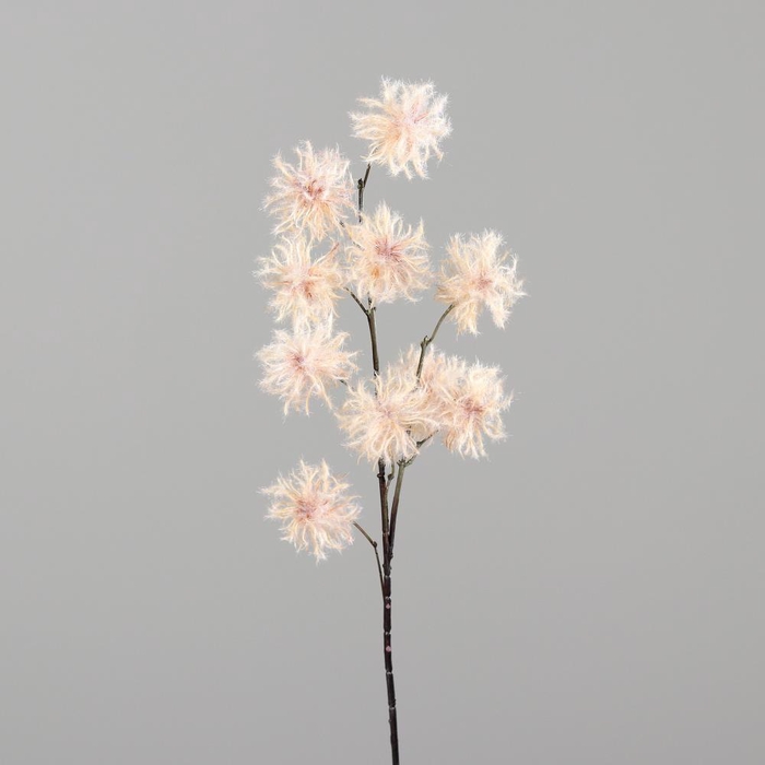 <h4>AF Multiple fruits 98cm Salmon</h4>