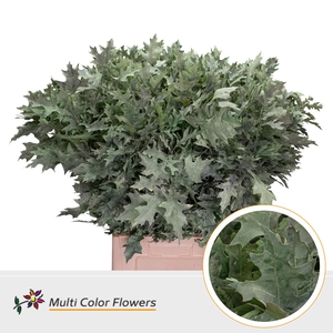 Eik Fijn Frost Mint