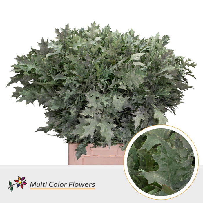 <h4>Eik Fijn Frost Mint</h4>