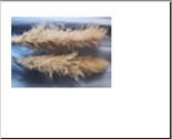 <h4>DF Pampas 140cm Natural Bs/3</h4>