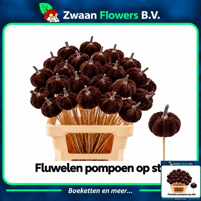<h4>HUIS EN TUINDECO H%</h4>
