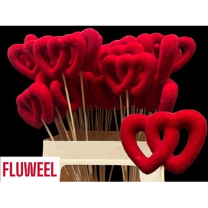 !! PROMO !! HARTJE OP STOK ROOD DUBBEL